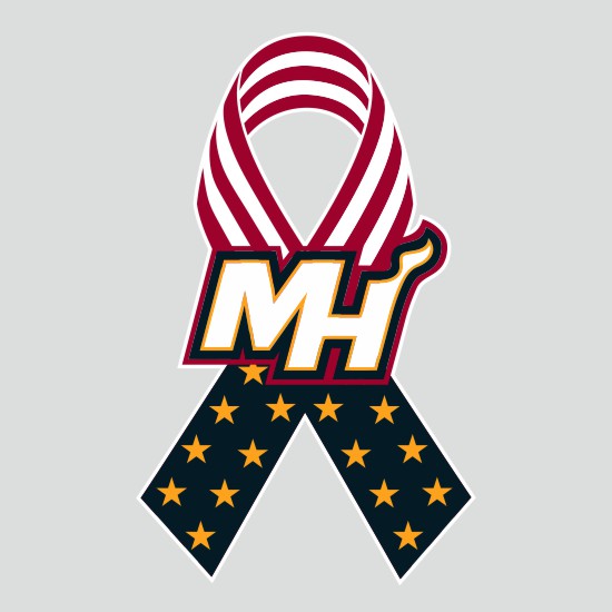 Miami Heat Ribbon American Flag logo iron on paper